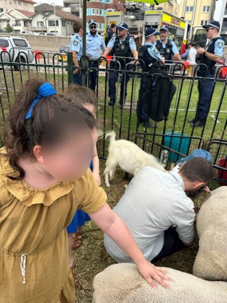 Historic image raises questions over security at Jewish event Historic image raises questions over security at Jewish event