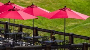 Woman killed by flying restaurant umbrella in freak accident at South Carolina lakeside restaurant