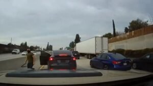 ‘Tesla Road Rage Driver’ sentenced to seven years in prison after attacking mother and daughter in Hawaii