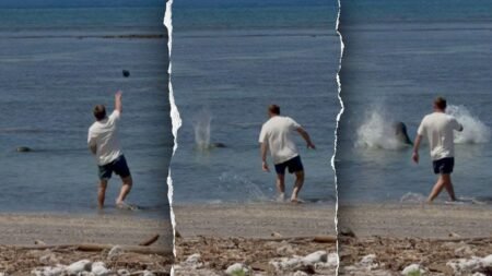 Suspect in viral monk seal harassment video says he was doxxed as federal court fight begins