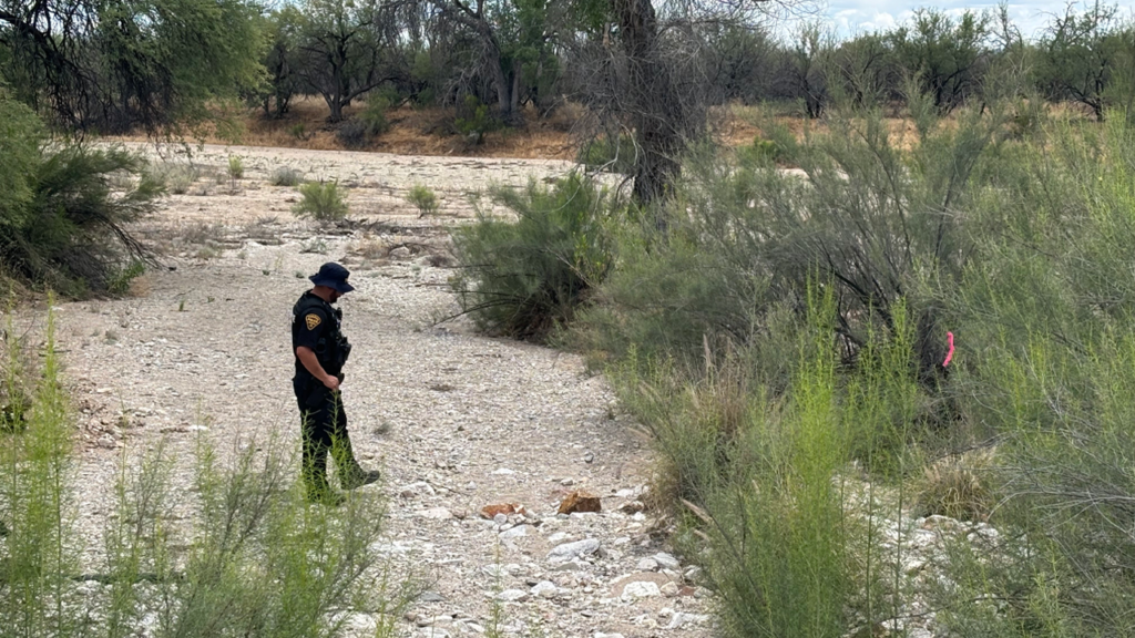 Skeleton unearthed near Nancy Guthrie search site believed to be up to 1,000 years old, expert says Skeleton unearthed near Nancy Guthrie search site believed to be up to 1,000 years old, expert says