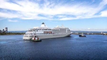 Cruise ship battles rough Pacific seas to save injured, stranded sailor Cruise ship battles rough Pacific seas to save injured, stranded sailor
