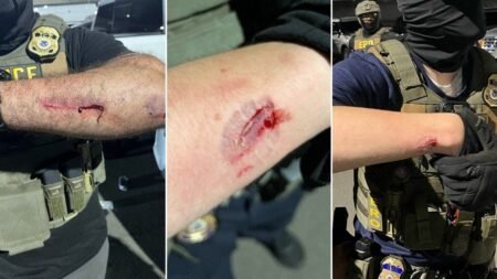 Anti-ICE agitator charged with allegedly biting officers during Delaney Hall clashes