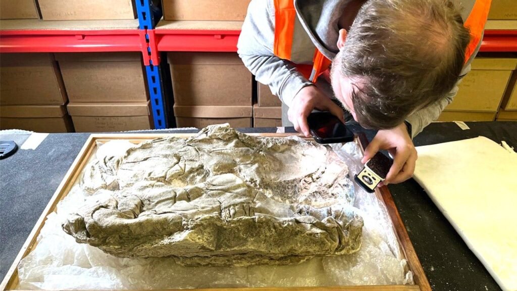 Traces of rare purple dye mentioned in Bible passages found in ‘remarkable’ discovery
