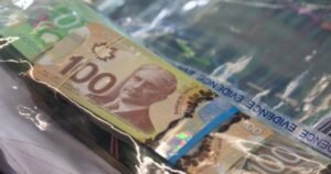 New Financial Crimes Agency needed to combat growing threat of fraud, scams: experts