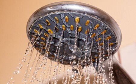 Your Shower Water Could Be a Reason Skin and Hair Suffer: How to Tell If You Need a Shower Filter