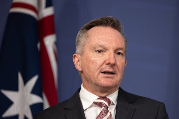 Energy Minister Chris Bowen says more affordable electric vehicle models have come onto the market.