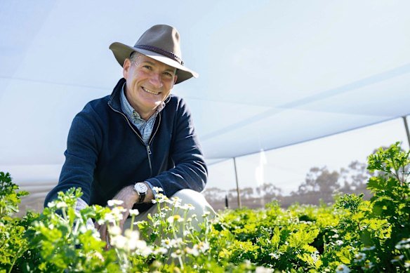 Professor Christopher Sweeney from Adelaide University with feverfew flowers.
