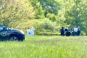 Apparent human remains found near NYC park with children’s playground