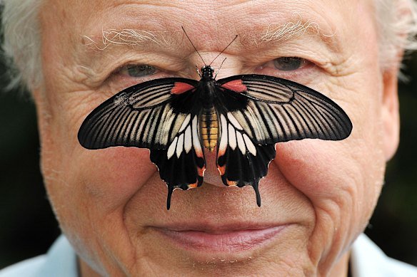 Sir David Attenborough has inspired millions around the world to appreciate and protect our planet.