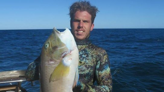 Steven Mattaboni was an avid spearfisher. 