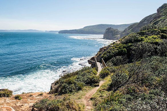 Bouddi National Park walking track, where the people are friendlier.  