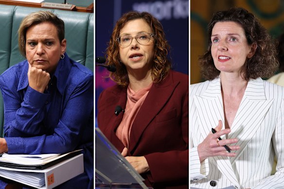 Michelle Rowland, Amanda Rishworth and Allegra Spender.