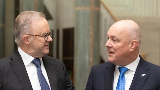 Prime Minister Anthony Albanese and his New Zealand counterpart Christopher Luxon.