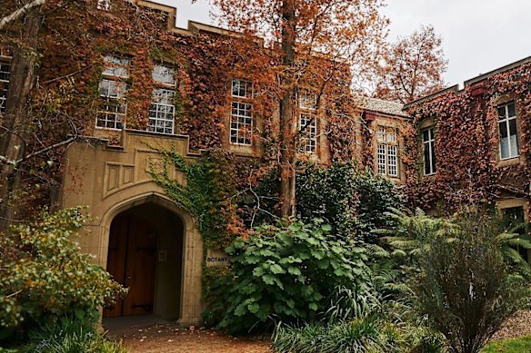 The University of Melbourne’s botany building: an appropriately leafy, strange place for parasite study.