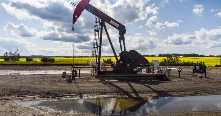 Alberta’s referendum question could ‘chill’ private investment, expert says Alberta’s referendum question could ‘chill’ private investment, expert says