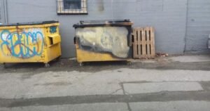 Kelowna business hit hard amid an increase in dumpster fires