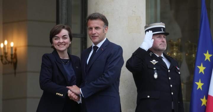 Quebec can help France in ‘many areas,’ Emmanuel Macron says Quebec can help France in ‘many areas,’ Emmanuel Macron says