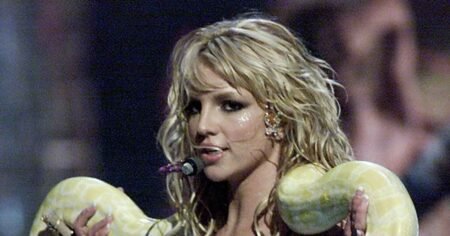 Britney Spears Says She Is on ‘Spiritual Journey’ Following DUI Plea Deal, Posts Photo of a Snake