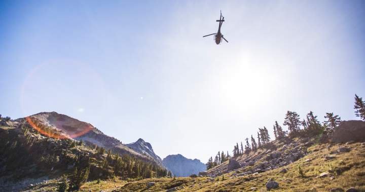 Pilot was distracted by phone when fatal B.C. helicopter accident occurred: TSB Pilot was distracted by phone when fatal B.C. helicopter accident occurred: TSB