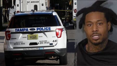 Florida deputies solve cold case murder after new DNA evidence and witnesses emerge, police say Florida deputies solve cold case murder after new DNA evidence and witnesses emerge, police say
