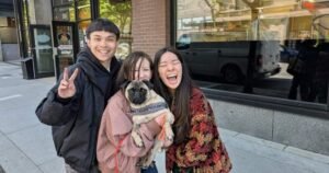 Munchy the missing pug reunited with family after Downtown Eastside adventure
