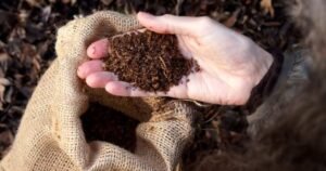 Montreal company on mission to turn pet poop into compost Montreal company on mission to turn pet poop into compost