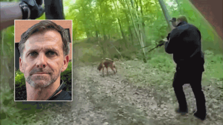 CAUGHT ON VIDEO: Bloodhound tracks armed Special Forces fugitive into woods after allegedly shooting wife