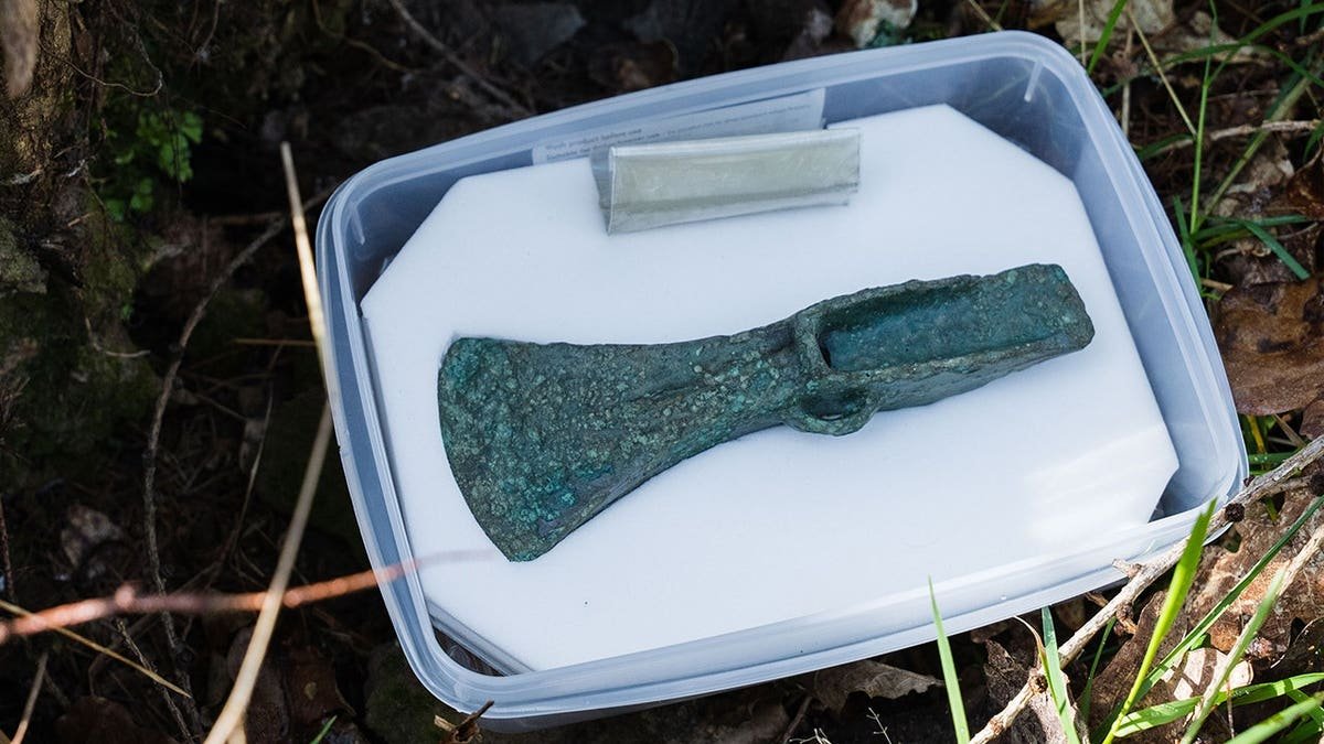 Close-up of Bronze Age ax on forest floor