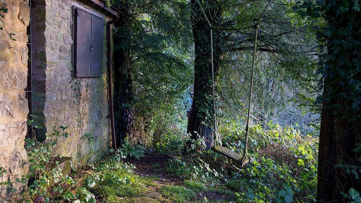 View of Forest of Dean building and swing in deep forest