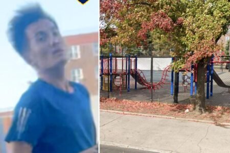 Sicko wanted for shoving group of children, choking 7-year-old boy in NYC park Sicko wanted for shoving group of children, choking 7-year-old boy in NYC park