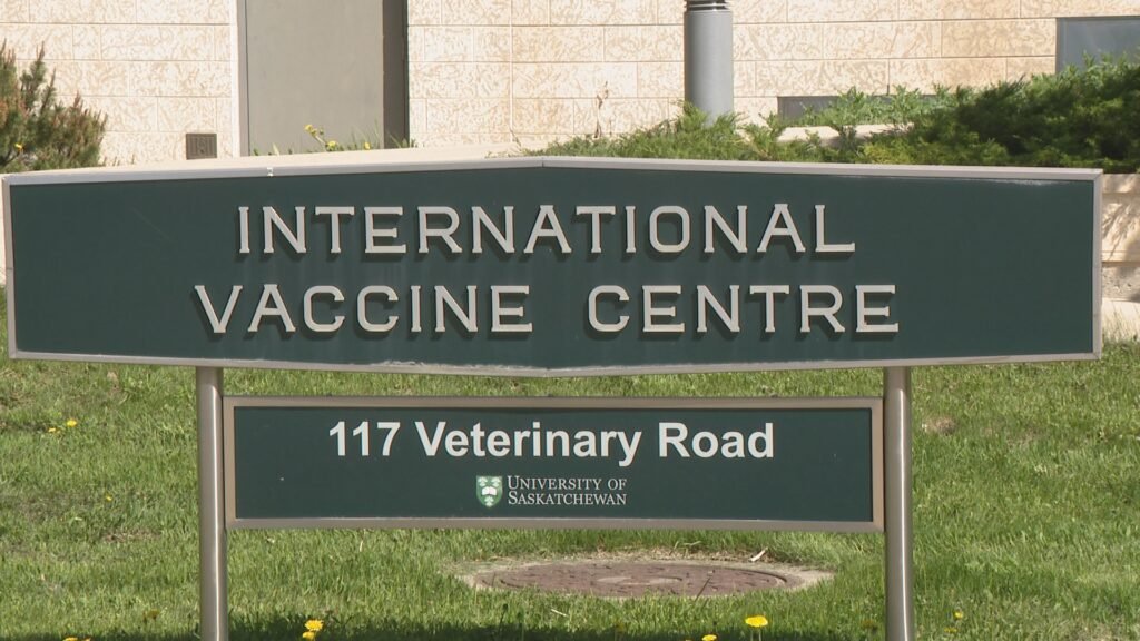 Saskatoon researchers in ‘very early stages’ of animal testing for hantavirus vaccine