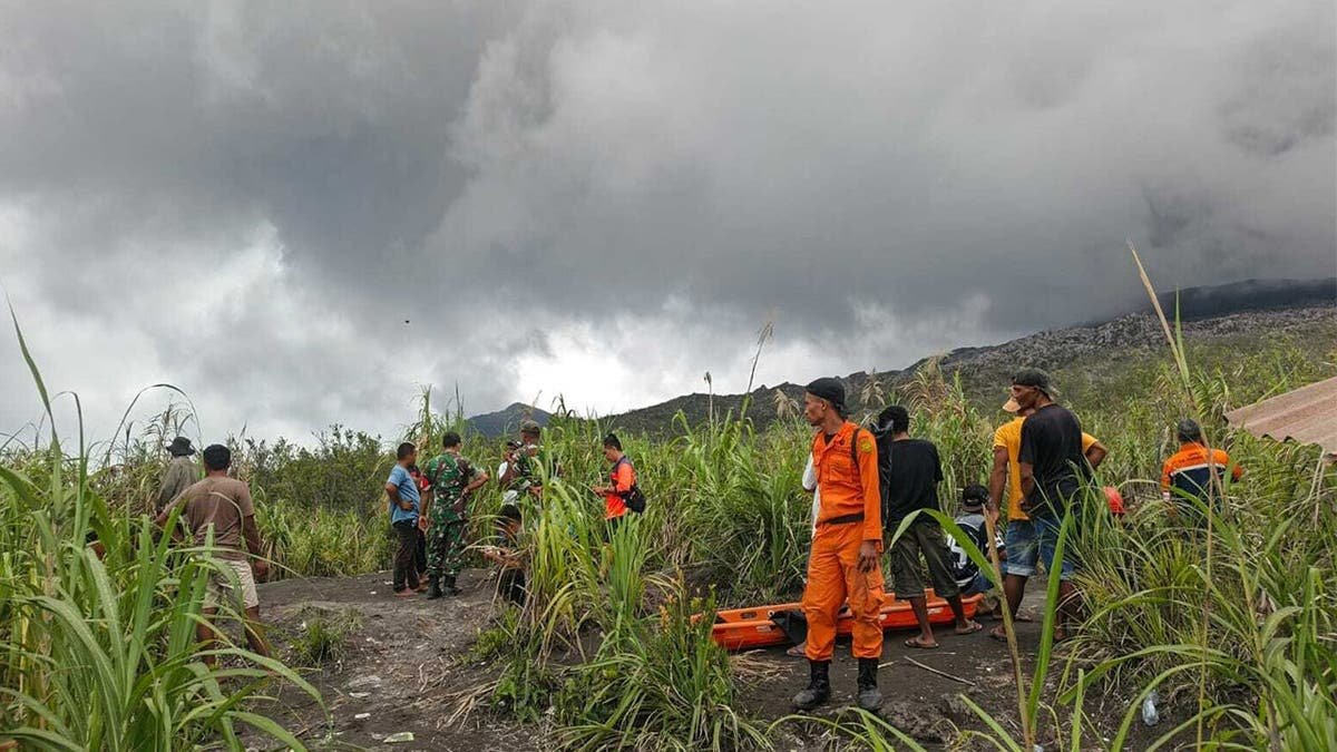 Joint search and rescue (SAR) teams prepare to evacuate victims
