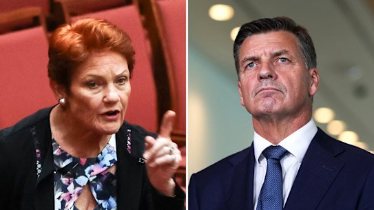 AFR COMPOSITE - Angus Taylor and Pauline Hanson. Photo: Alex Ellinghausen