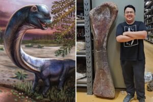 Scientists discover Southeast Asia’s largest dinosaur in Thailand Scientists discover Southeast Asia’s largest dinosaur in Thailand