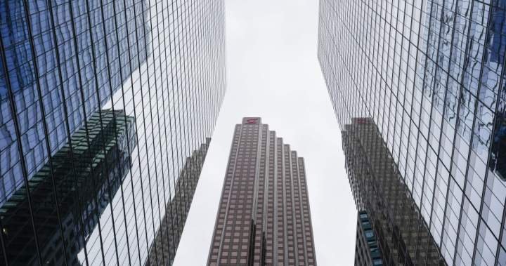 Canada’s big banks brace for more bad loans, focus on ‘de-risking’ Canada’s big banks brace for more bad loans, focus on ‘de-risking’