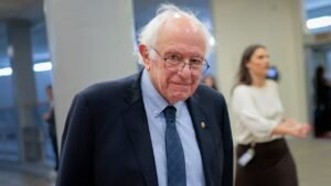 Bernie Sanders’ anti-Netflix crusade hits the skids after filings expose awkward twist
