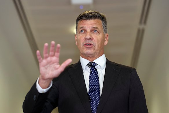 Opposition Leader Angus Taylor is playing with our future.