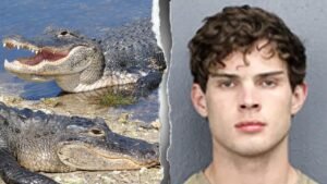 ‘Looksmaxxing’ influencer Clavicular charged after allegedly shooting dead alligator on livestream