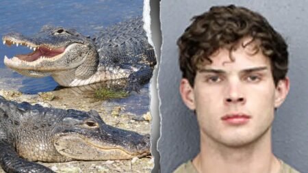 ‘Looksmaxxing’ influencer Clavicular charged after allegedly shooting dead alligator on livestream
