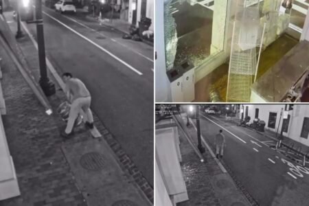 Bro tosses beer keg through DC bakery’s window, causing K in damage — and leaving baker terrified: video