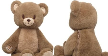 Build-A-Bear Workshop bear recalled in Canada over potential choking hazard