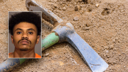 California man sentenced to prison for using pickaxe to kill teen brother with cerebral palsy