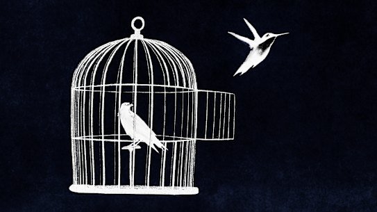 Prison education programs reduce the likelihood of ex-inmates reoffending. 