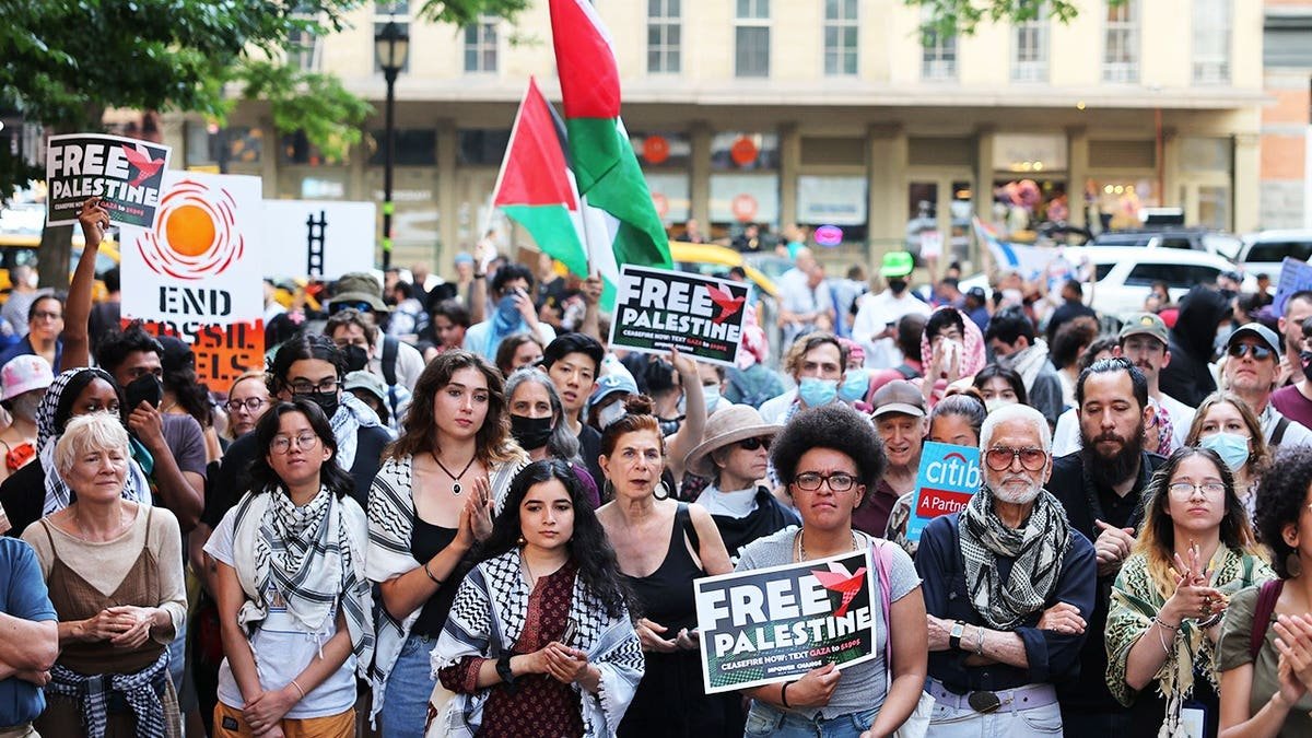Crowd of protesters holding pro-Palestinian signs during a climate justice rally in New York City.