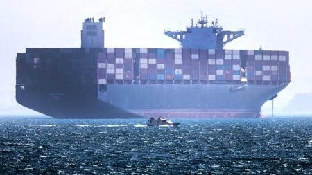 US ally pledges support for Trump’s push to break Iran’s grip on Hormuz: ‘We are ready to contribute’