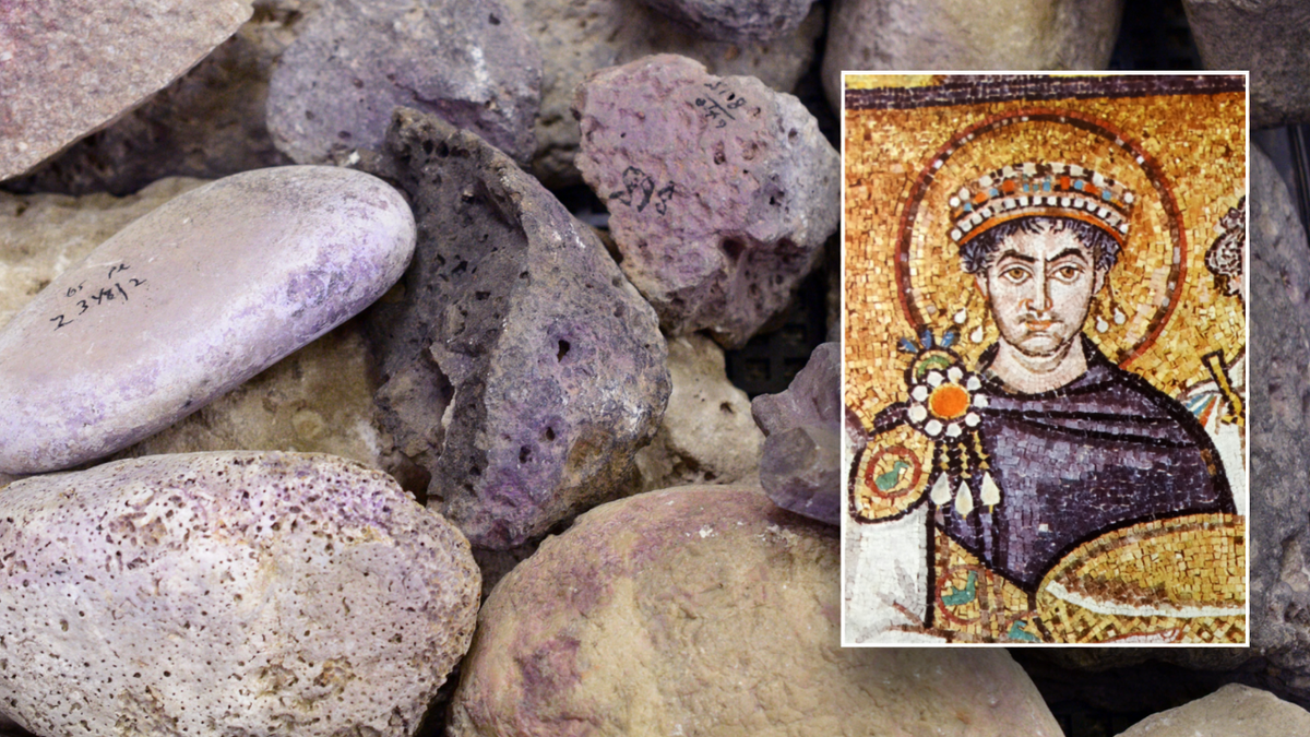 Historians displaying ancient purple dye tools and a depiction of Justinian wearing purple robes