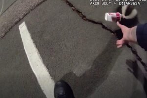 Colorado police rescue unlucky skunk stuck in a cup