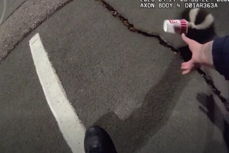 Colorado police rescue unlucky skunk stuck in a cup