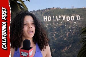 Voters want a candidate who can restore Hollywood Voters want a candidate who can restore Hollywood